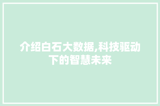 介绍白石大数据,科技驱动下的智慧未来