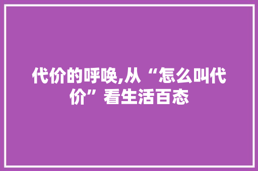 代价的呼唤,从“怎么叫代价”看生活百态 百度SEO