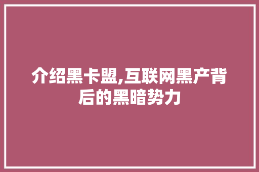 介绍黑卡盟,互联网黑产背后的黑暗势力