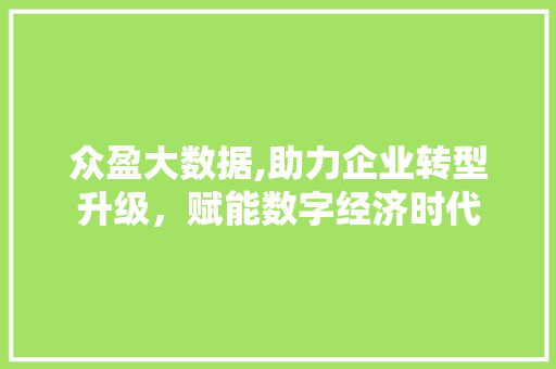 众盈大数据,助力企业转型升级，赋能数字经济时代
