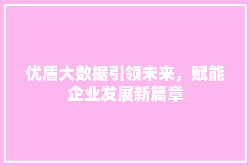 优盾大数据引领未来，赋能企业发展新篇章 网站建设公司