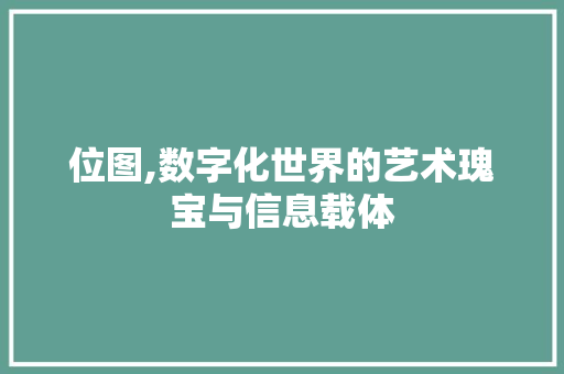 位图,数字化世界的艺术瑰宝与信息载体 SEO关键词