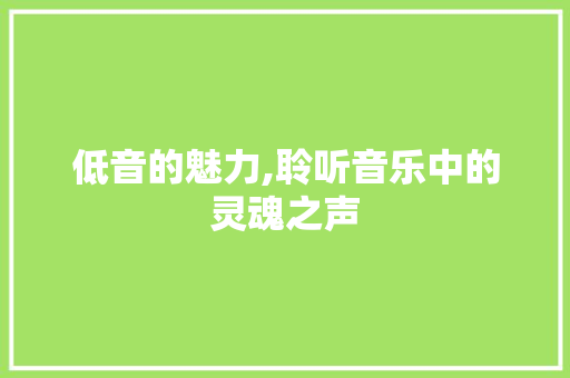 低音的魅力,聆听音乐中的灵魂之声