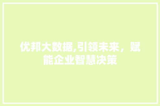 优邦大数据,引领未来，赋能企业智慧决策 百度SEO