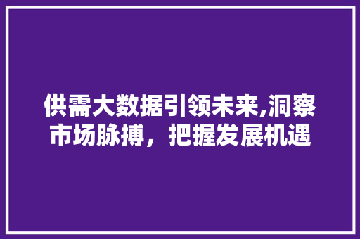 供需大数据引领未来,洞察市场脉搏，把握发展机遇