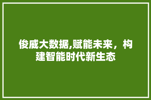 俊威大数据,赋能未来，构建智能时代新生态 网站建设公司