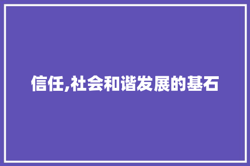 信任,社会和谐发展的基石 神马SEO
