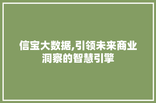 信宝大数据,引领未来商业洞察的智慧引擎