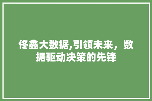 佟鑫大数据,引领未来，数据驱动决策的先锋