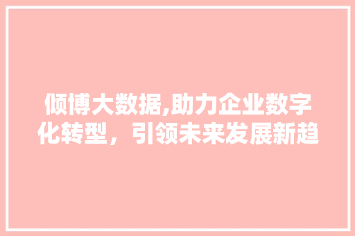 倾博大数据,助力企业数字化转型，引领未来发展新趋势