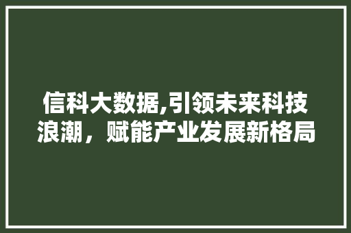 信科大数据,引领未来科技浪潮，赋能产业发展新格局 搜狗SEO