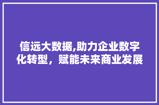 信远大数据,助力企业数字化转型，赋能未来商业发展 神马SEO