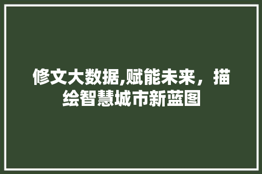 修文大数据,赋能未来，描绘智慧城市新蓝图