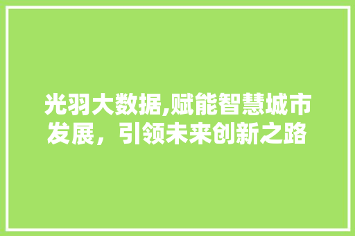 光羽大数据,赋能智慧城市发展，引领未来创新之路