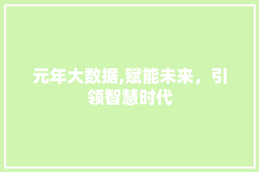 元年大数据,赋能未来，引领智慧时代