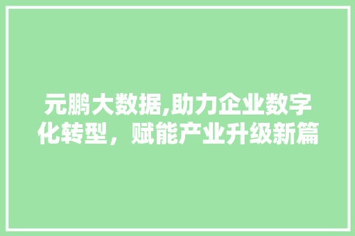 元鹏大数据,助力企业数字化转型，赋能产业升级新篇章 搜狗SEO