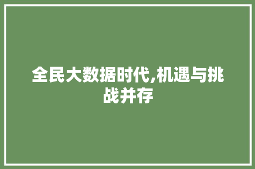 全民大数据时代,机遇与挑战并存