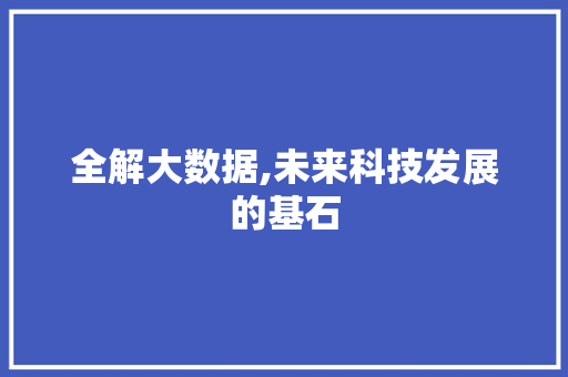 全解大数据,未来科技发展的基石 百度SEO