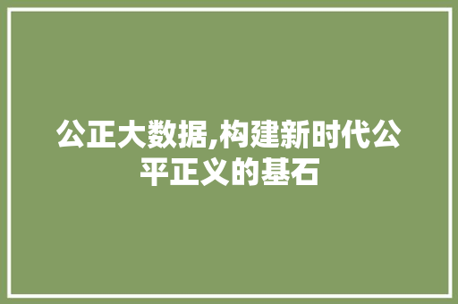 公正大数据,构建新时代公平正义的基石 SEO关键词