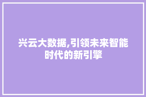 兴云大数据,引领未来智能时代的新引擎 网站建设公司