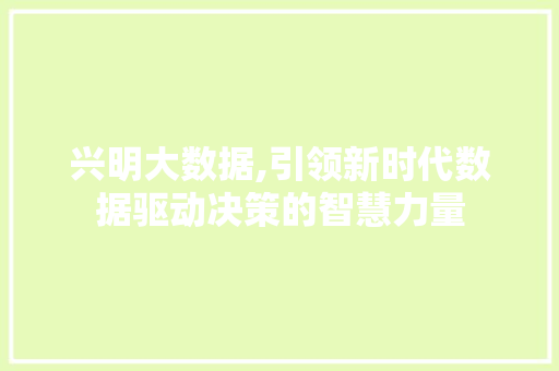 兴明大数据,引领新时代数据驱动决策的智慧力量