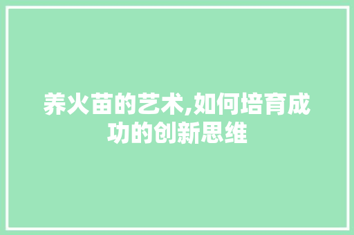 养火苗的艺术,如何培育成功的创新思维