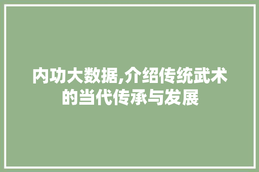内功大数据,介绍传统武术的当代传承与发展