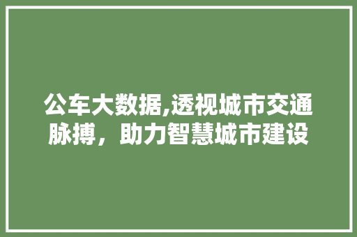 公车大数据,透视城市交通脉搏，助力智慧城市建设 搜狗SEO