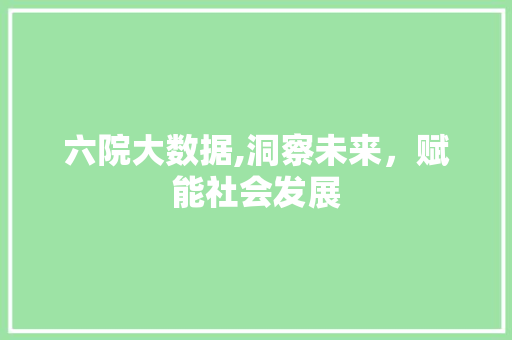 六院大数据,洞察未来，赋能社会发展 SEO关键词