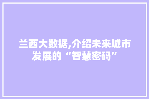 兰西大数据,介绍未来城市发展的“智慧密码”