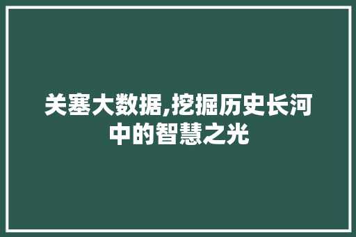 关塞大数据,挖掘历史长河中的智慧之光