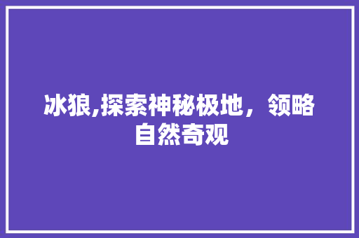 冰狼,探索神秘极地，领略自然奇观