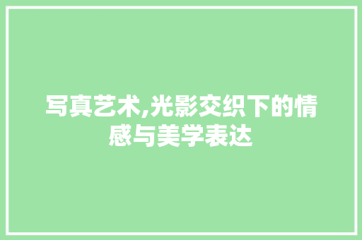 写真艺术,光影交织下的情感与美学表达