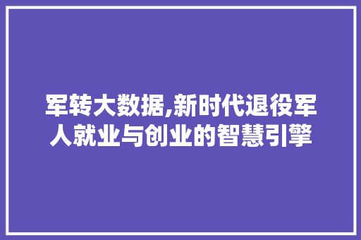 军转大数据,新时代退役军人就业与创业的智慧引擎