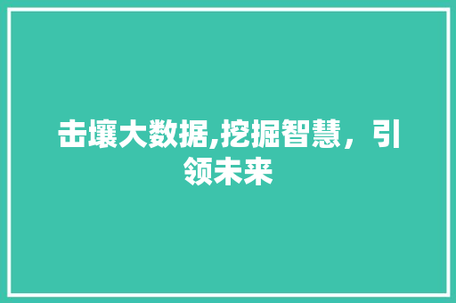 击壤大数据,挖掘智慧，引领未来 SEO关键词
