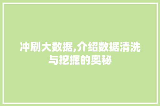 冲刷大数据,介绍数据清洗与挖掘的奥秘