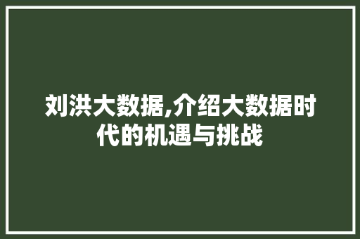 刘洪大数据,介绍大数据时代的机遇与挑战
