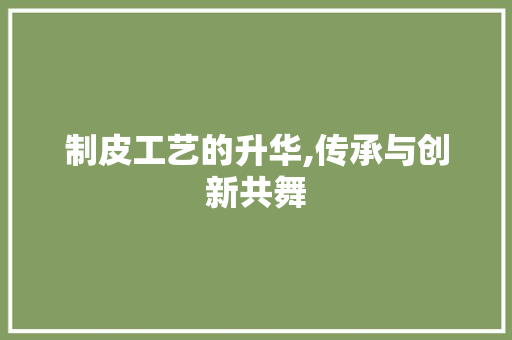 制皮工艺的升华,传承与创新共舞