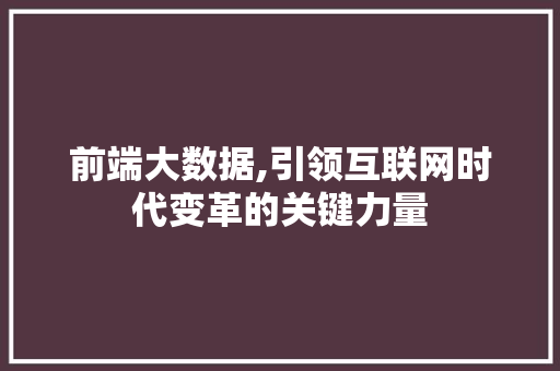 前端大数据,引领互联网时代变革的关键力量
