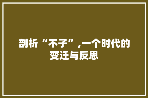 剖析“不子”,一个时代的变迁与反思 百度SEO