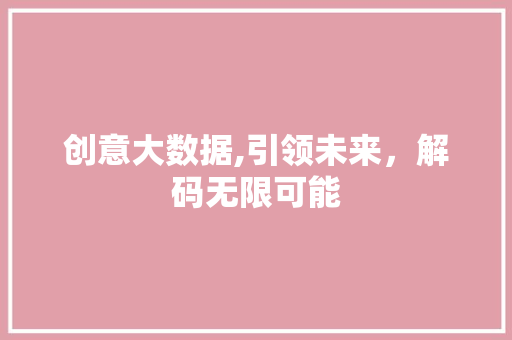 创意大数据,引领未来，解码无限可能