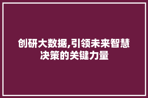 创研大数据,引领未来智慧决策的关键力量