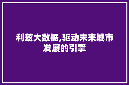 利兹大数据,驱动未来城市发展的引擎