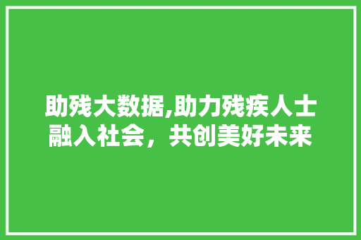 助残大数据,助力残疾人士融入社会，共创美好未来
