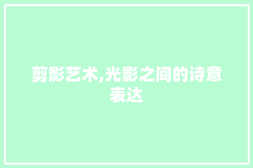 剪影艺术,光影之间的诗意表达 网站建设公司