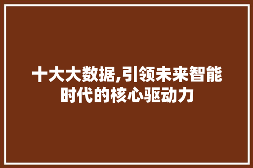 十大大数据,引领未来智能时代的核心驱动力 神马SEO