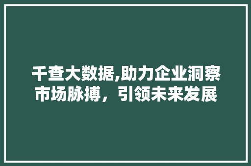 千查大数据,助力企业洞察市场脉搏，引领未来发展 神马SEO