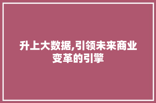 升上大数据,引领未来商业变革的引擎 百度SEO