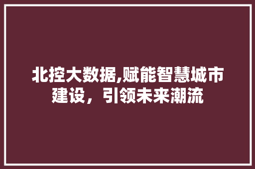 北控大数据,赋能智慧城市建设，引领未来潮流 SEO关键词