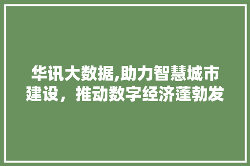 华讯大数据,助力智慧城市建设，推动数字经济蓬勃发展